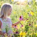 little girl, wildflowers, meadow-2516578.jpg
